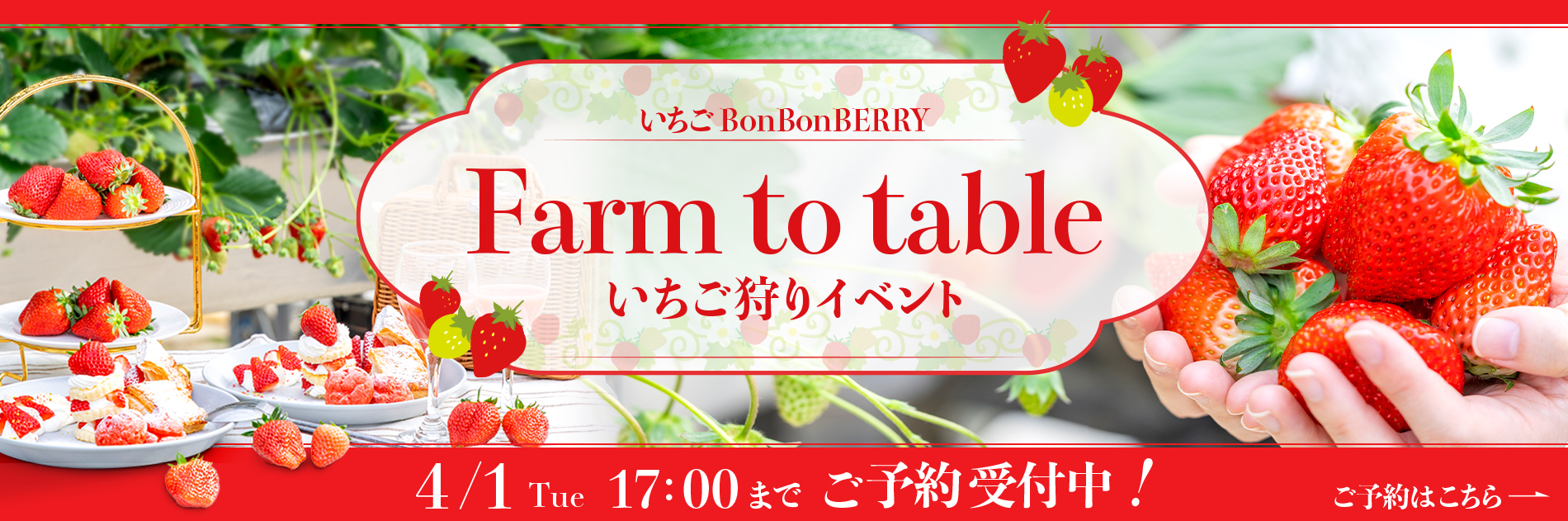 苺様ご確認ページ·͜· 控える ⋆꙳ 