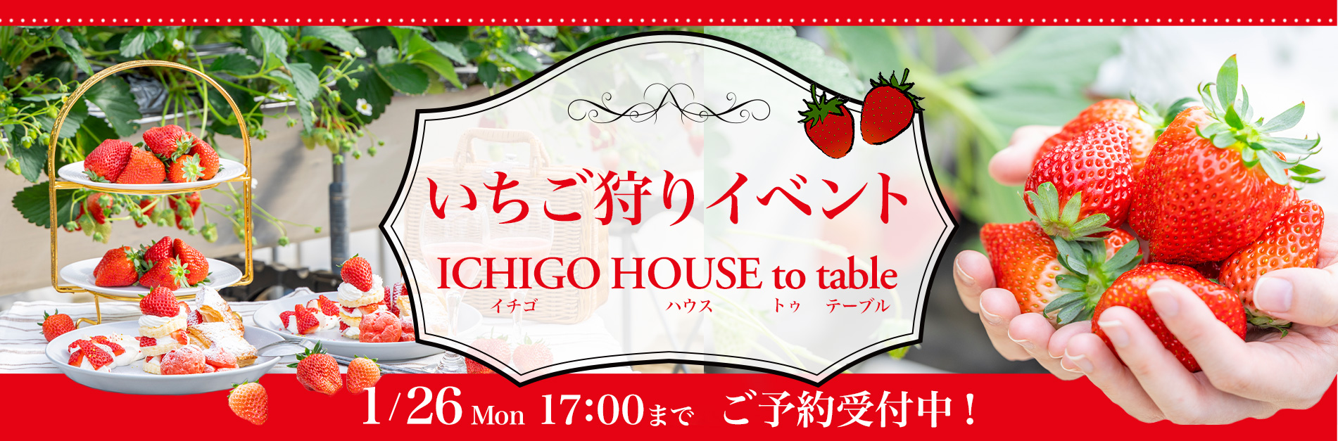 いちご狩りバナー